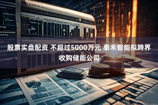 股票实盘配资 不超过5000万元 泰禾智能拟跨界收购储能公司