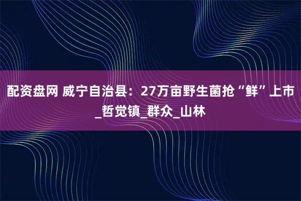 配资盘网 威宁自治县：27万亩野生菌抢“鲜”上市_哲觉镇_群众_山林